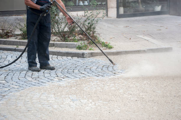 Best Building Exterior Washing  in Carrollwood, FL