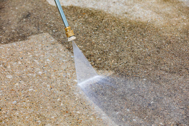 Best Warehouse Cleaning  in Carrollwood, FL